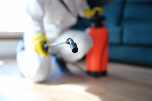 Best Mold Removal for HVAC Installations  in Burkesville, KY